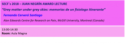 Juan negrin award lecture